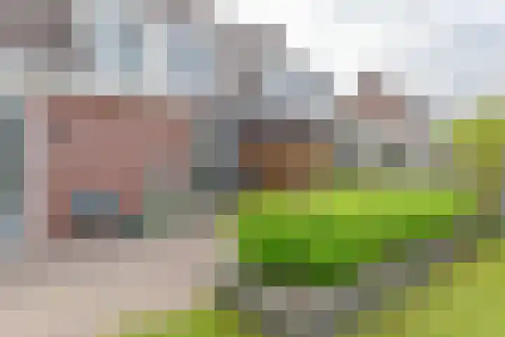 Malachietdreef 43 Emmen thumbnail 68