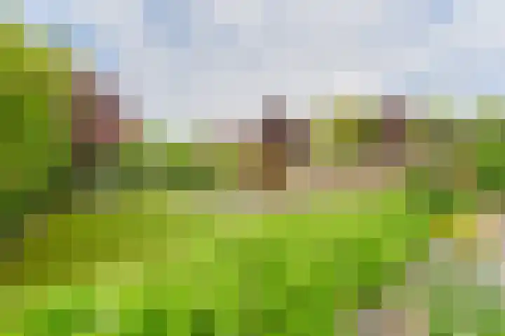 Malachietdreef 43 Emmen thumbnail 70