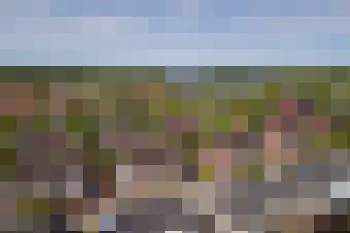 Malachietdreef 43 Emmen thumbnail 73