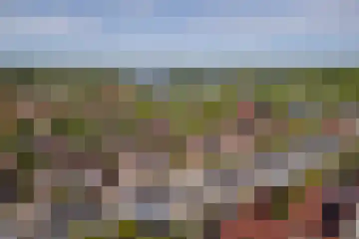Malachietdreef 43 Emmen thumbnail 75