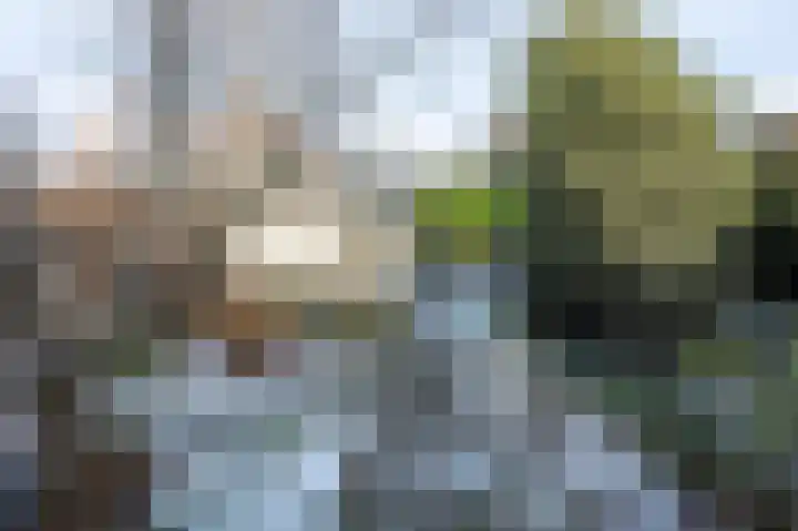 Malachietdreef 60 Emmen thumbnail 24