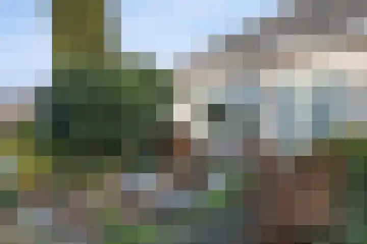 Malachietdreef 60 Emmen thumbnail 27