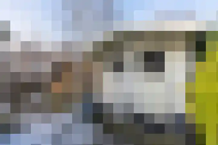 Malachietdreef 60 Emmen thumbnail 28