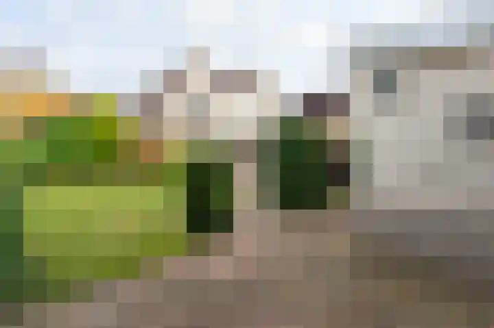 Malachietdreef 78 Emmen thumbnail 25