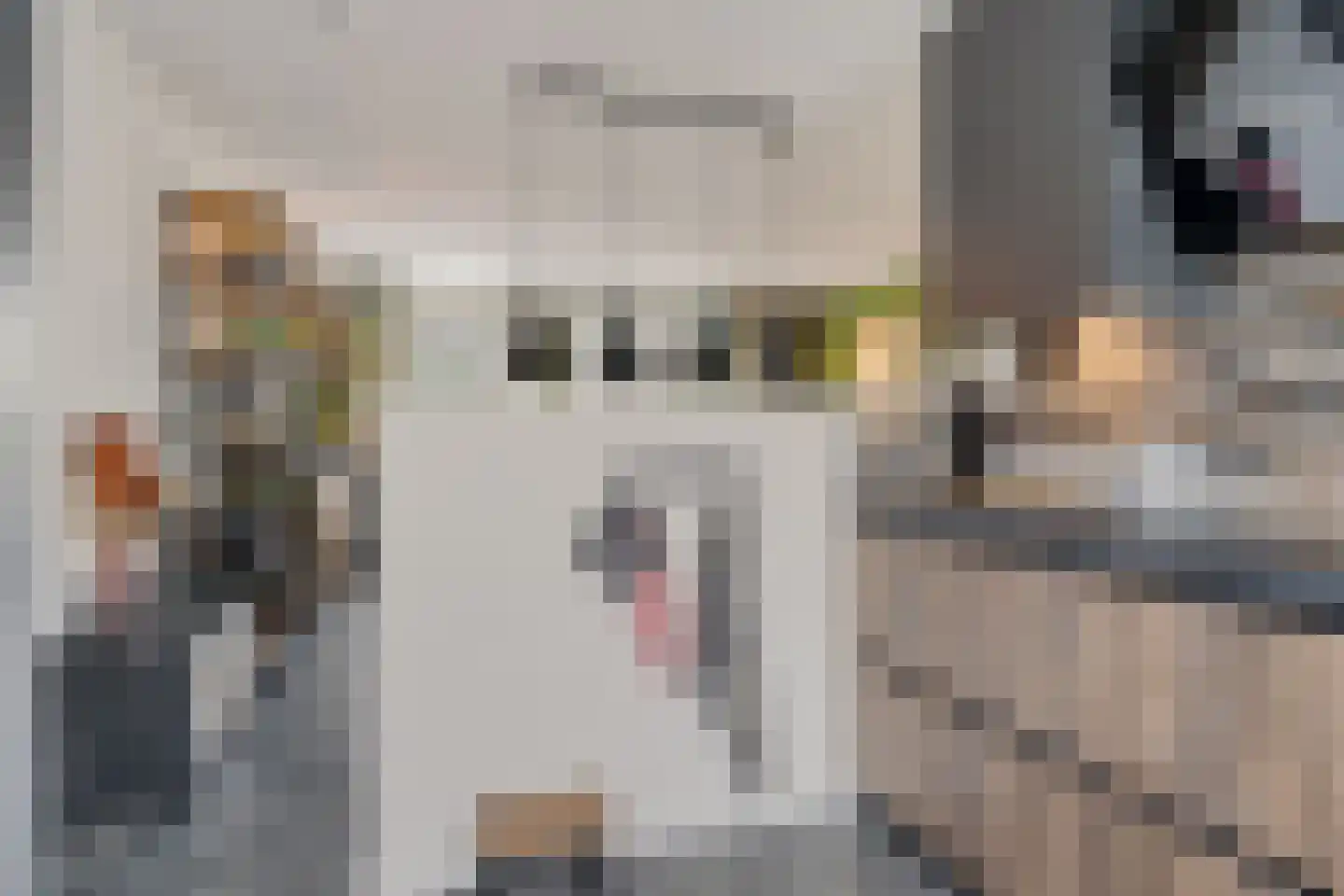 Malachietgroen 6 Zoetermeer thumbnail 20