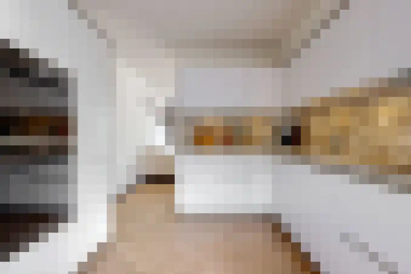 Malachietstraat 20 Almere thumbnail 11