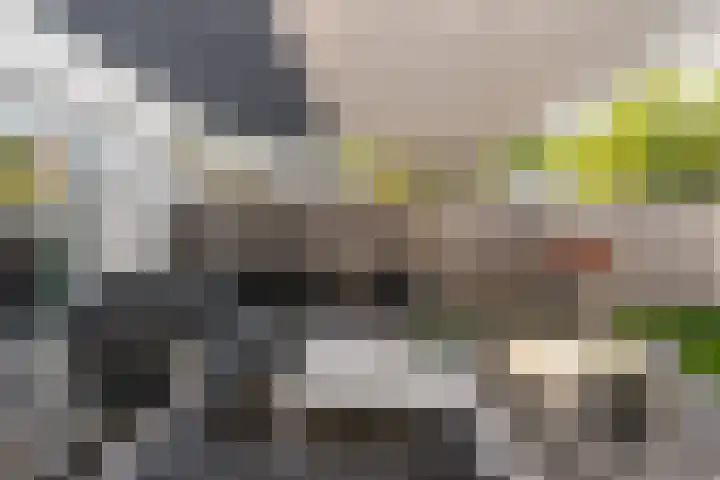 Malachietstraat 36 Almere thumbnail 36