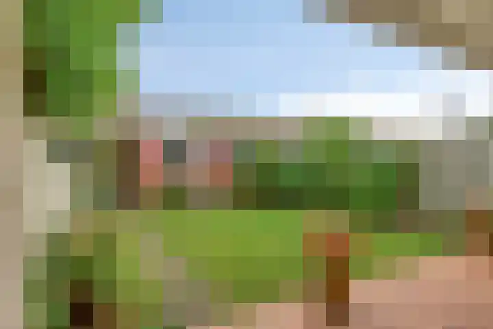 Malagijsweg 17 Eindhoven thumbnail 17