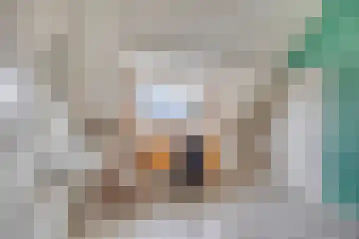 Malagijsweg 17 Eindhoven thumbnail 4
