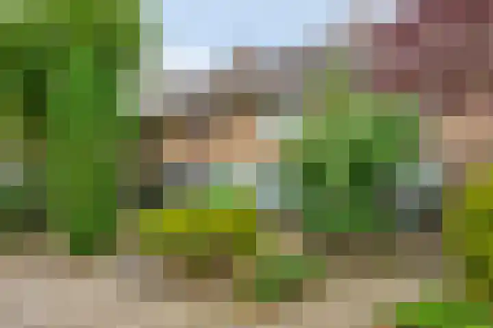 Malagijsweg 17 Eindhoven thumbnail 6