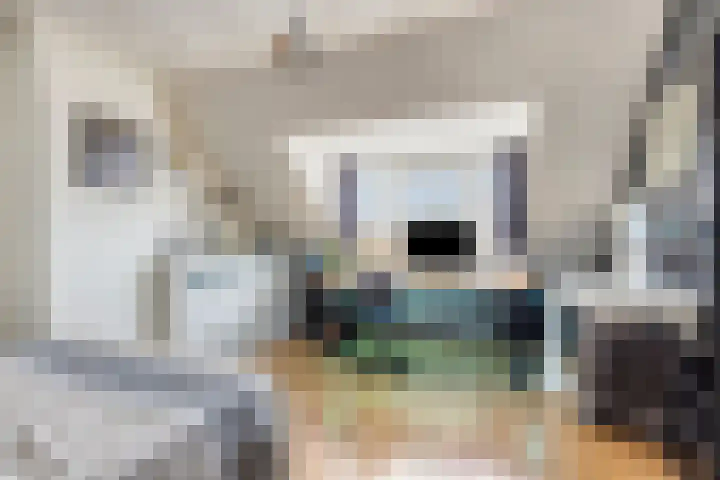 Malagijsweg 19 Eindhoven thumbnail 22
