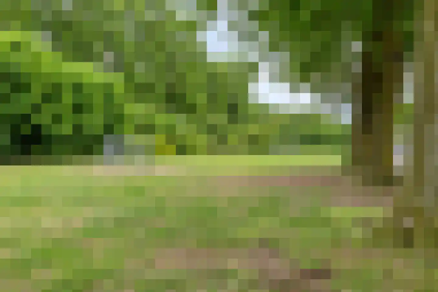 Malagijsweg 19 Eindhoven thumbnail 29