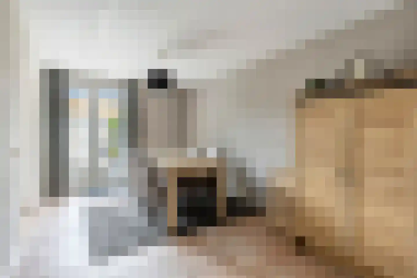 Malagijsweg 19 Eindhoven thumbnail 5