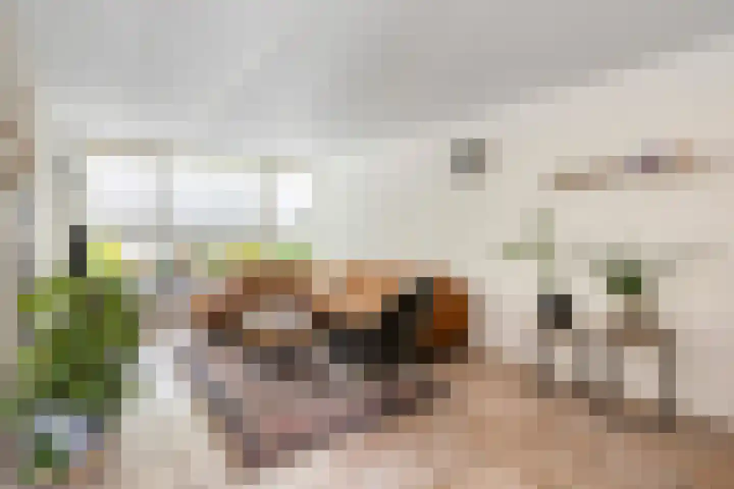 Malagijsweg 19 Eindhoven thumbnail 8