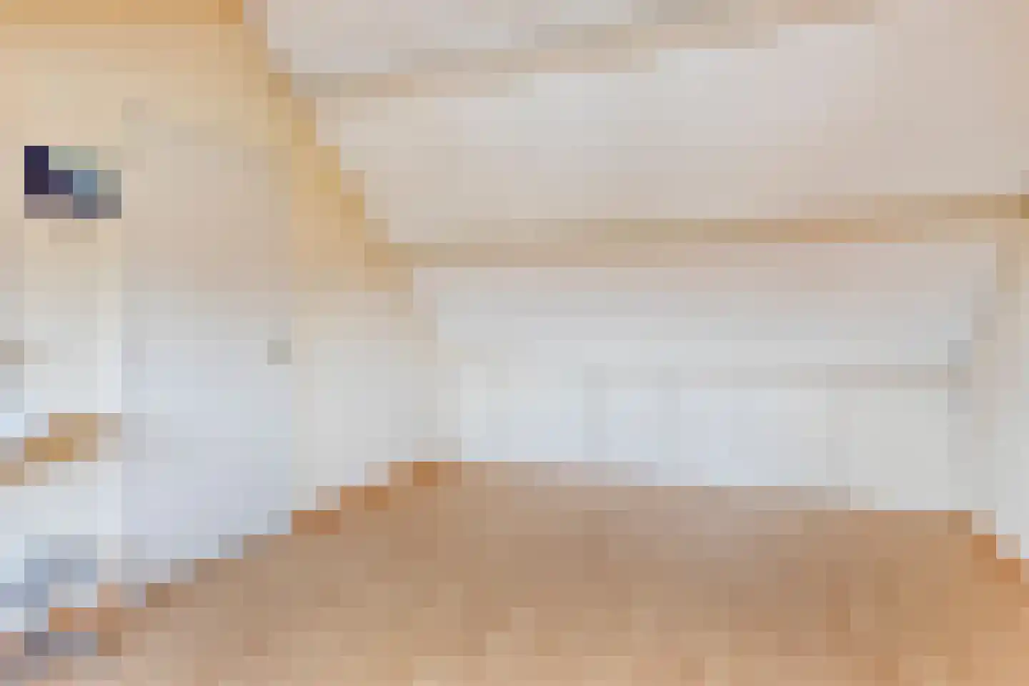 Malagijsweg 4 Eindhoven thumbnail 33