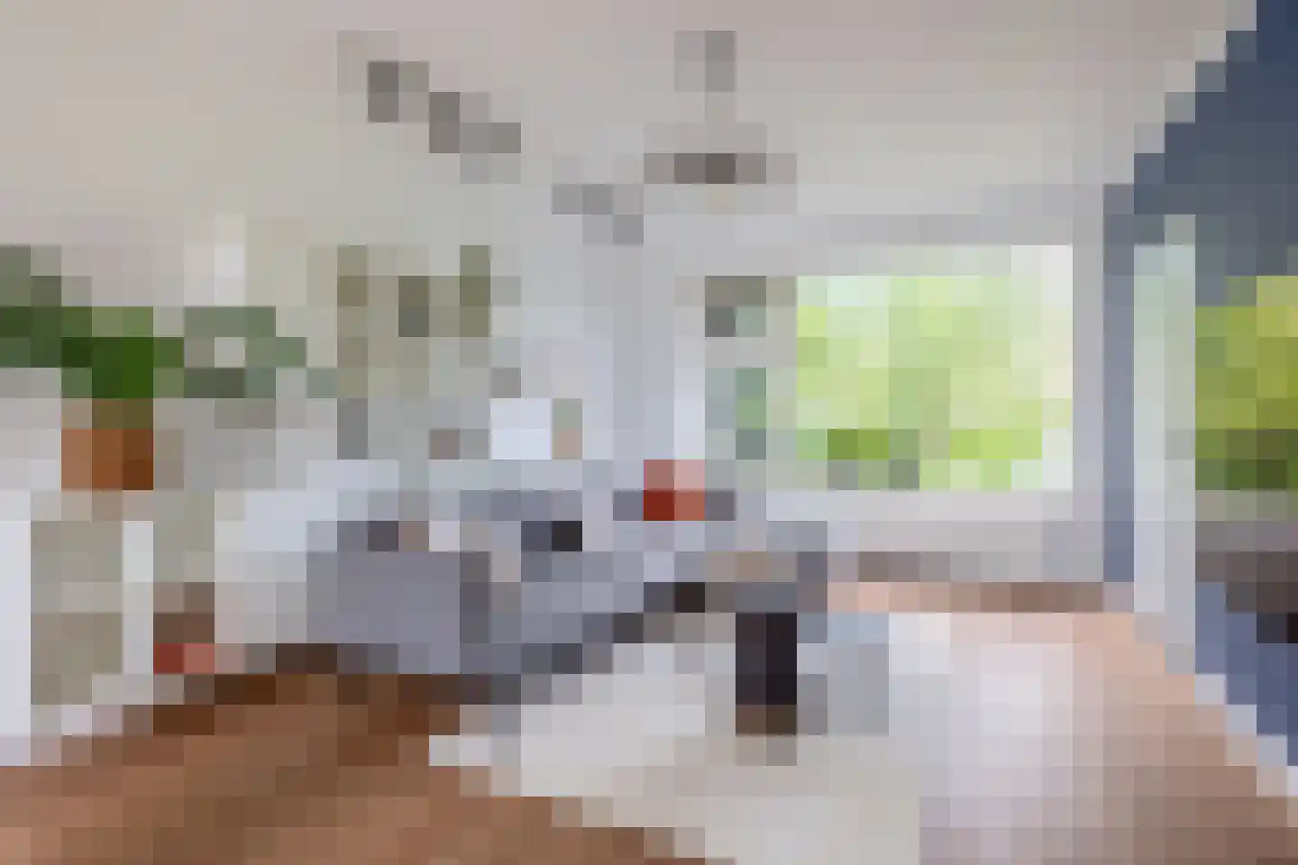 Malagijsweg 40 Eindhoven thumbnail 10