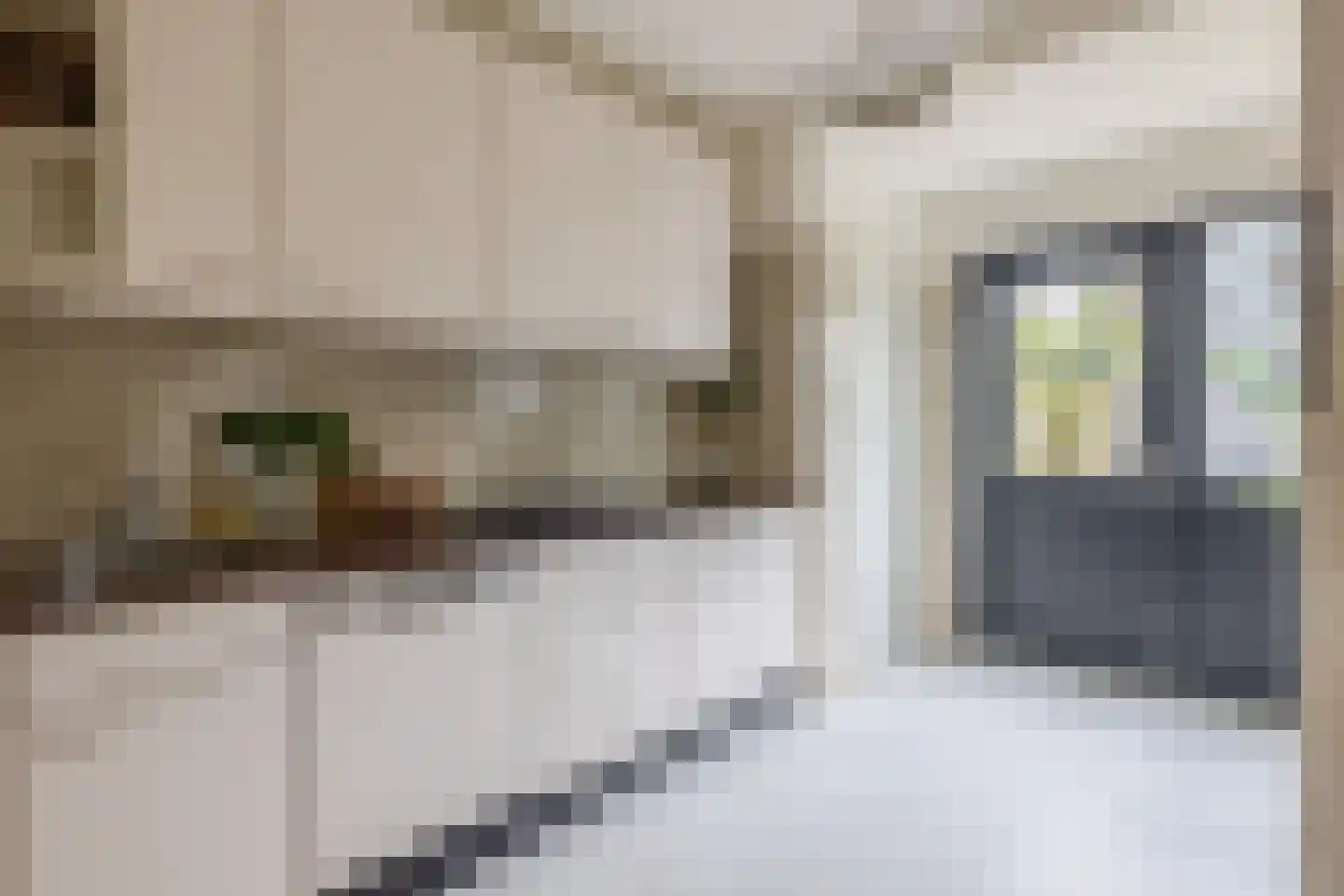 Malagijsweg 40 Eindhoven thumbnail 16