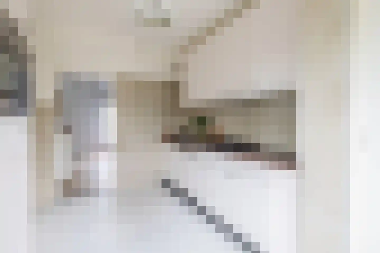 Malagijsweg 40 Eindhoven thumbnail 18