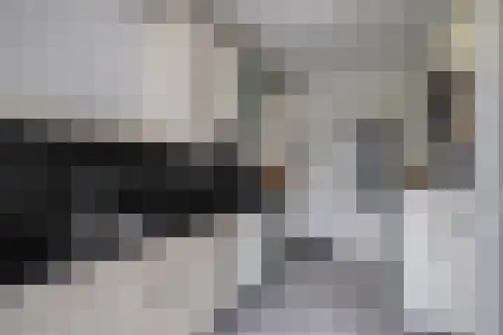 Malagijsweg 8 Eindhoven thumbnail 13