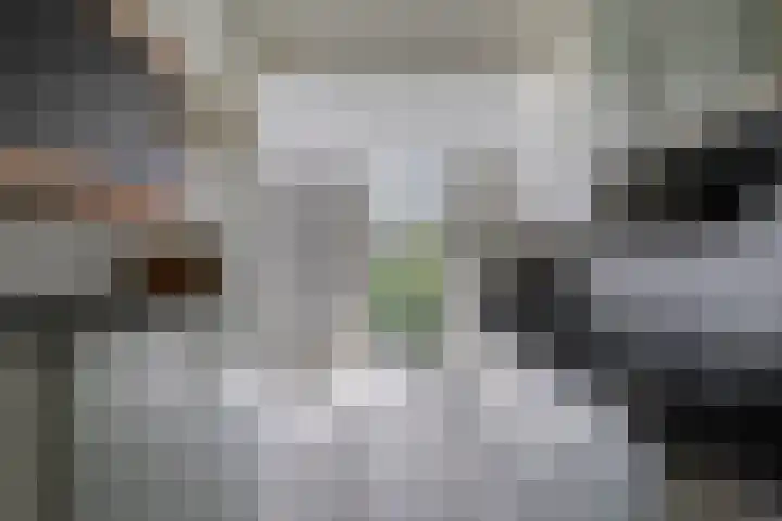 Malagijsweg 8 Eindhoven thumbnail 15