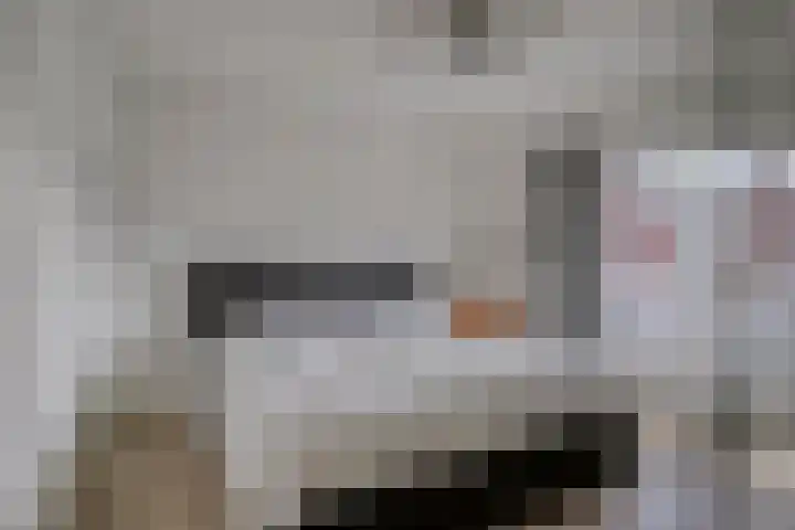 Malagijsweg 8 Eindhoven thumbnail 19