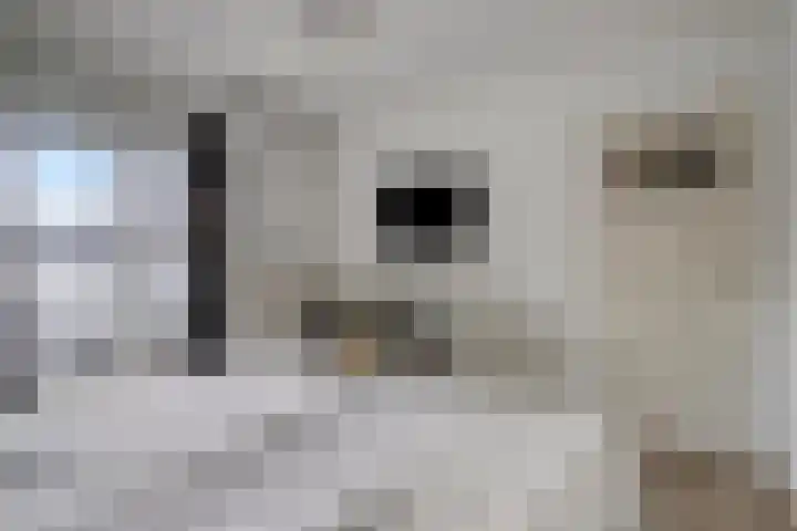 Malagijsweg 8 Eindhoven thumbnail 20