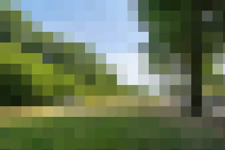 Malagijsweg 8 Eindhoven thumbnail 35