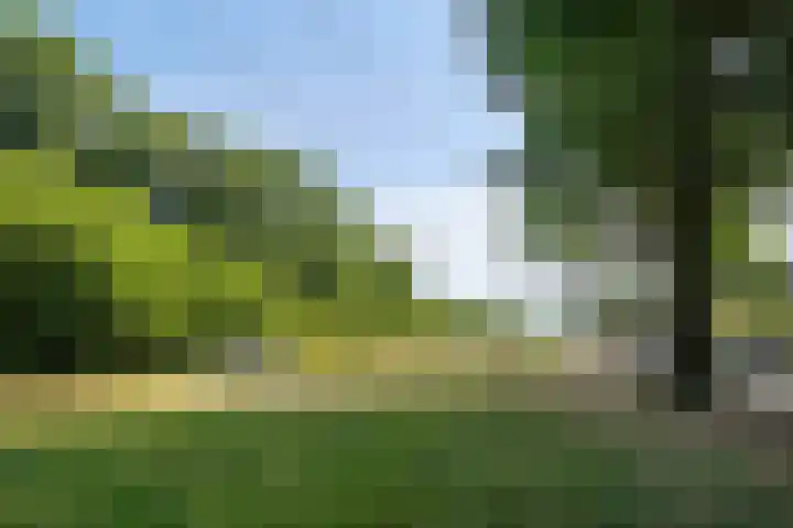 Malagijsweg 8 Eindhoven thumbnail 5