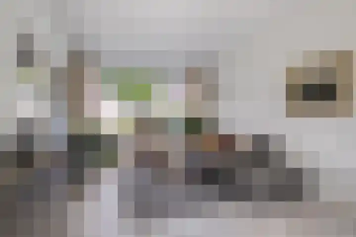 Malagijsweg 8 Eindhoven thumbnail 9