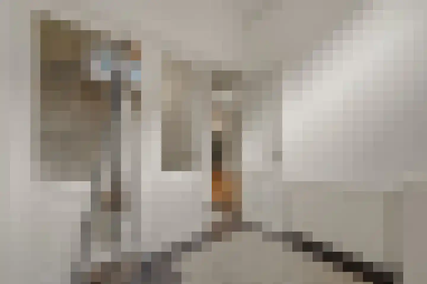 Malakkastraat 65 Den Haag thumbnail 7