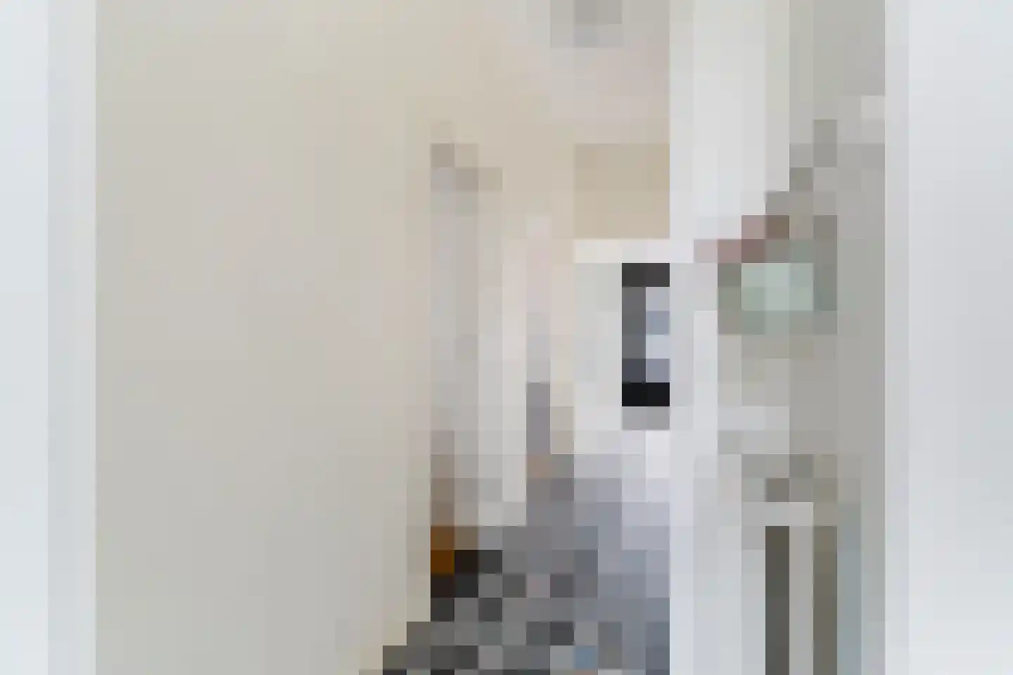 Malakkastraat 79 Den Haag thumbnail 5