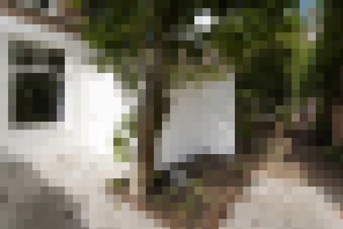 Malakkastraat 94 Den Haag thumbnail 9