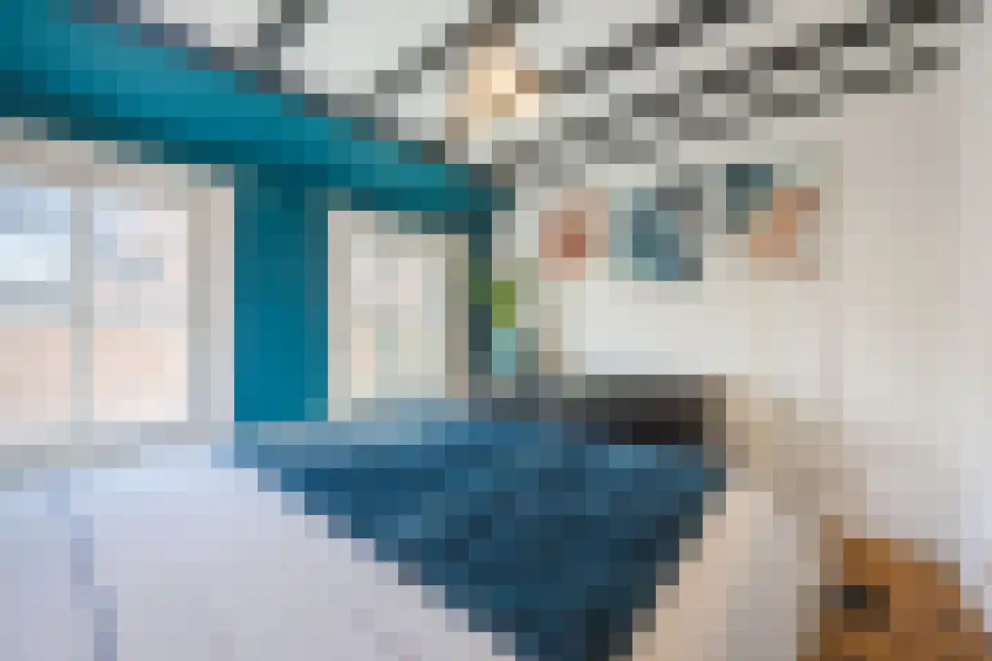 Malakkastraat 96 Den Haag thumbnail 18