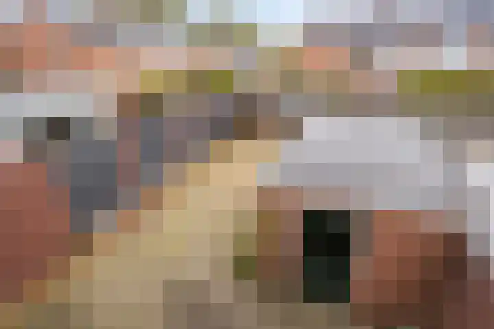 Malandstraat 20 Denekamp thumbnail 16