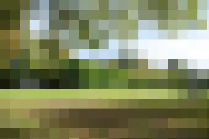 Malandstraat 20 Denekamp thumbnail 33