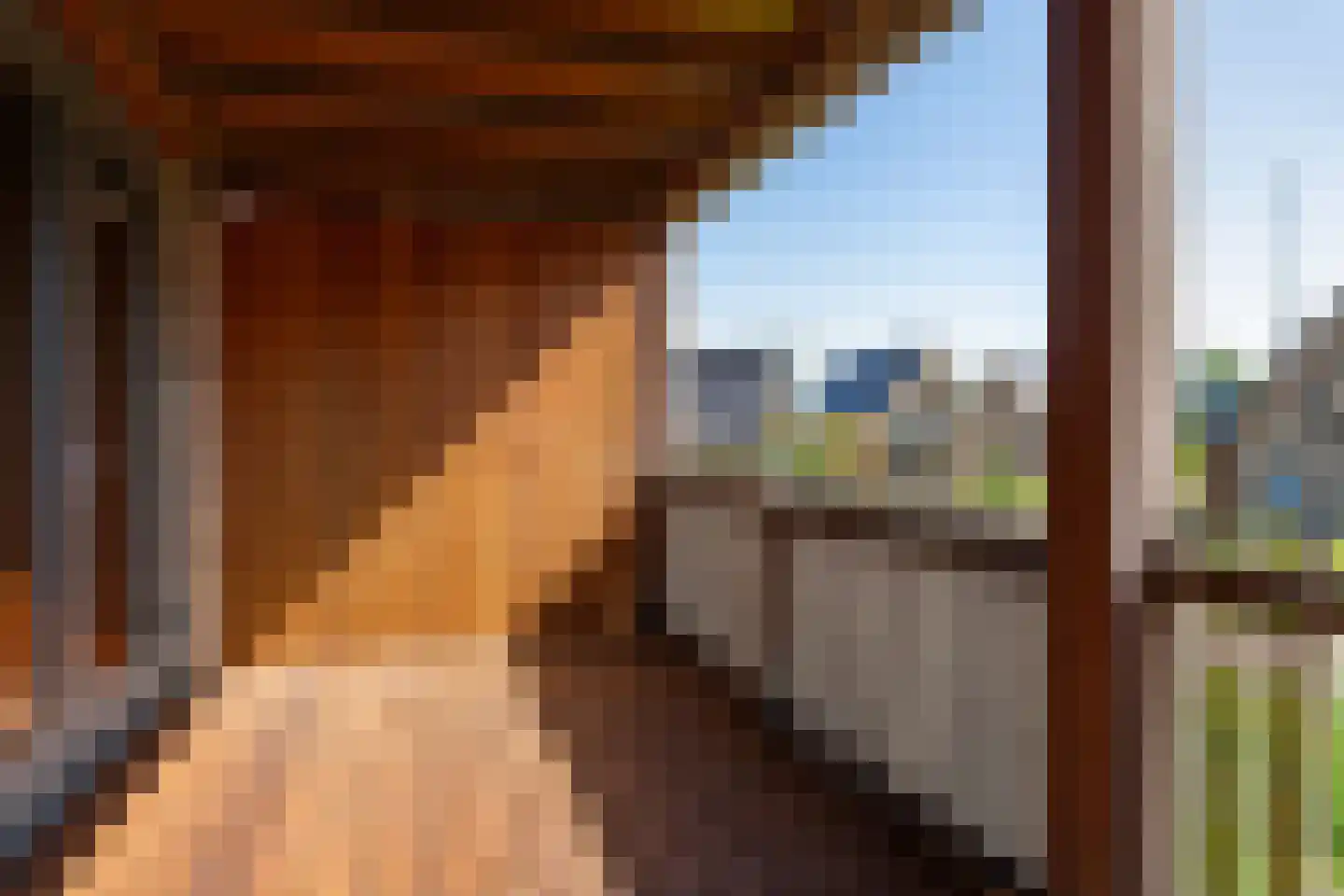 Malawimeerpad 3 Zoetermeer thumbnail 25