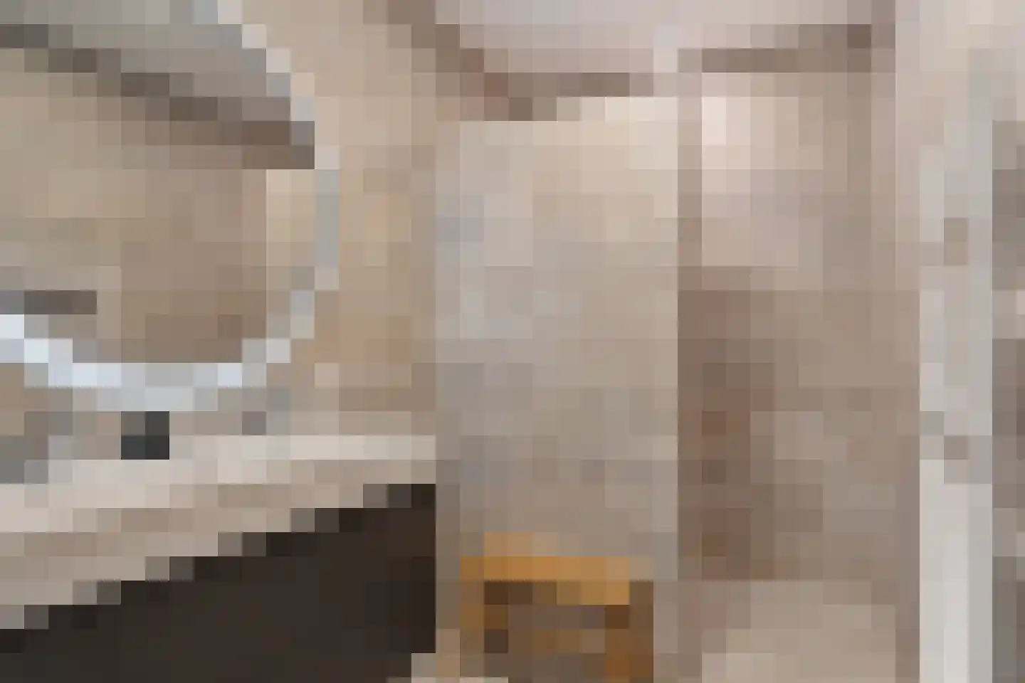 Malawimeerpad 3 Zoetermeer thumbnail 46