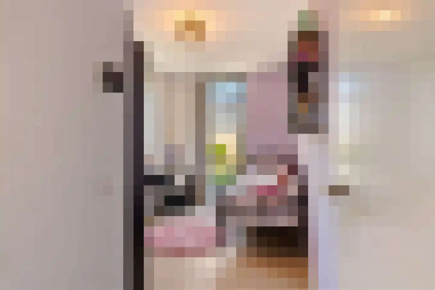 Malawimeerpad 3 Zoetermeer thumbnail 49