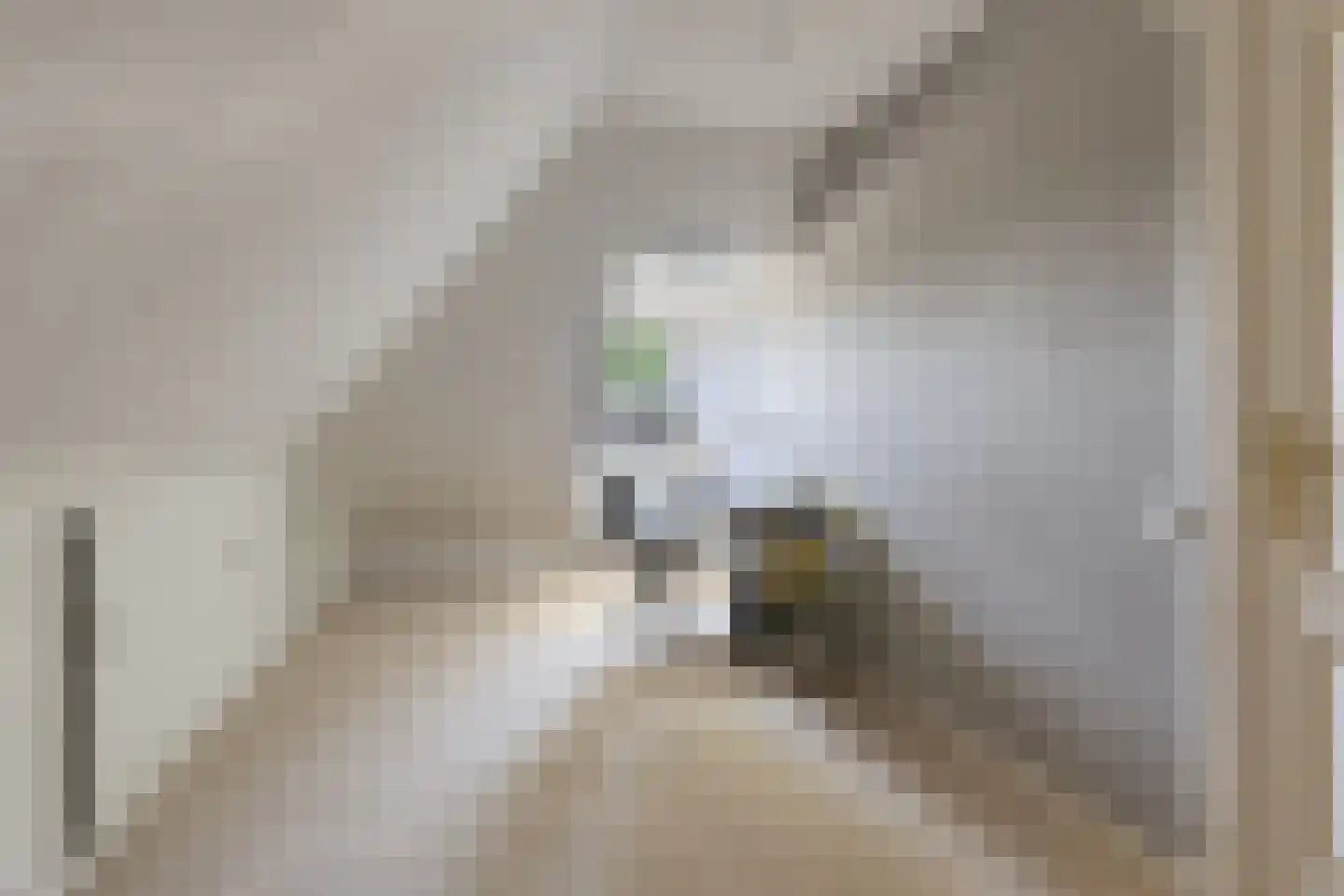 Malaxisbeek 2 Helmond thumbnail 31