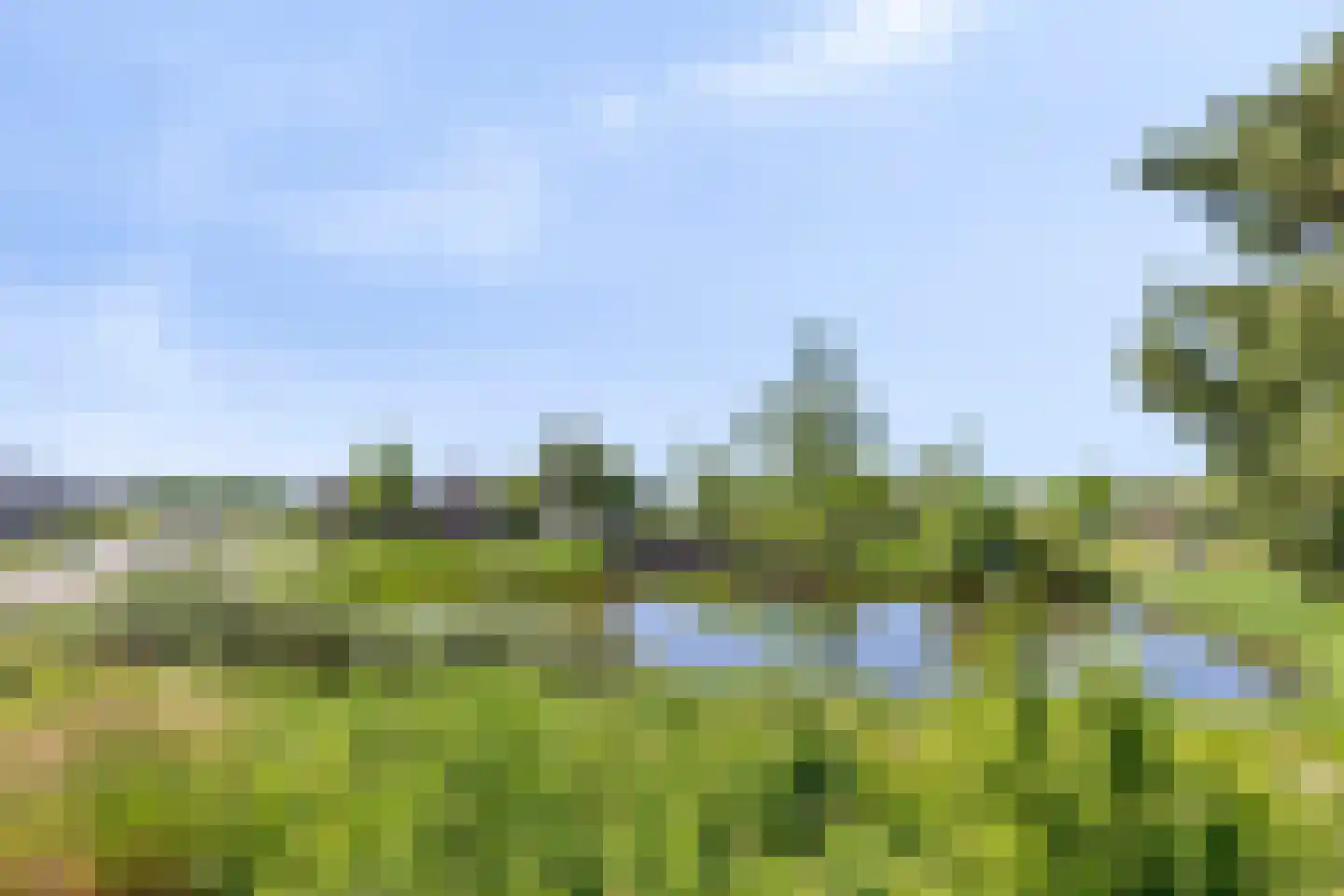 Malaxisbeek 2 Helmond thumbnail 46