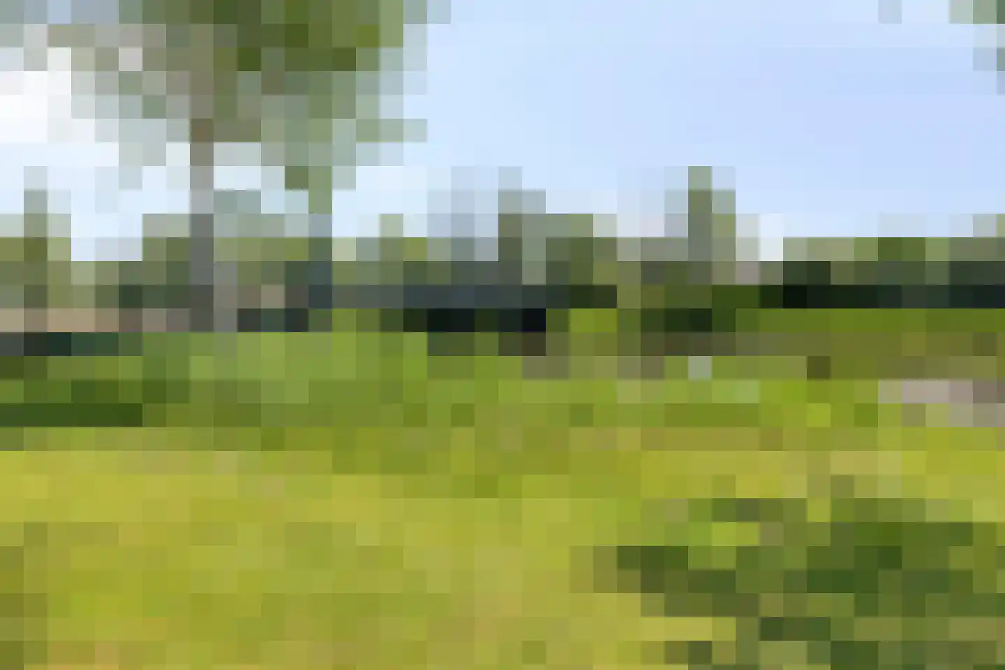 Malaxisbeek 2 Helmond thumbnail 49