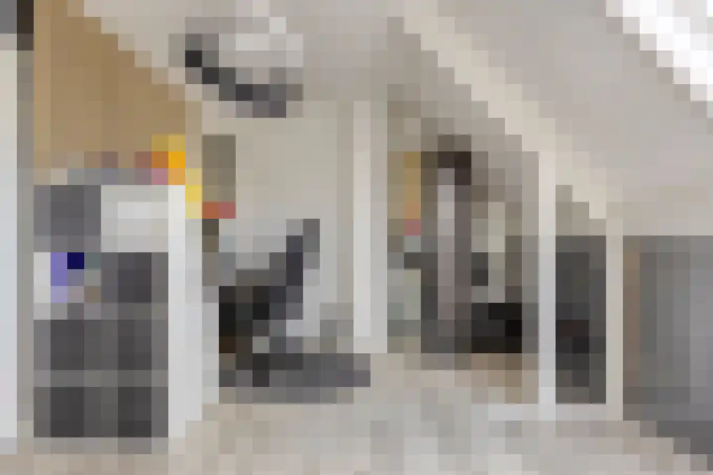 Malaxisbeek 8 Helmond thumbnail 35