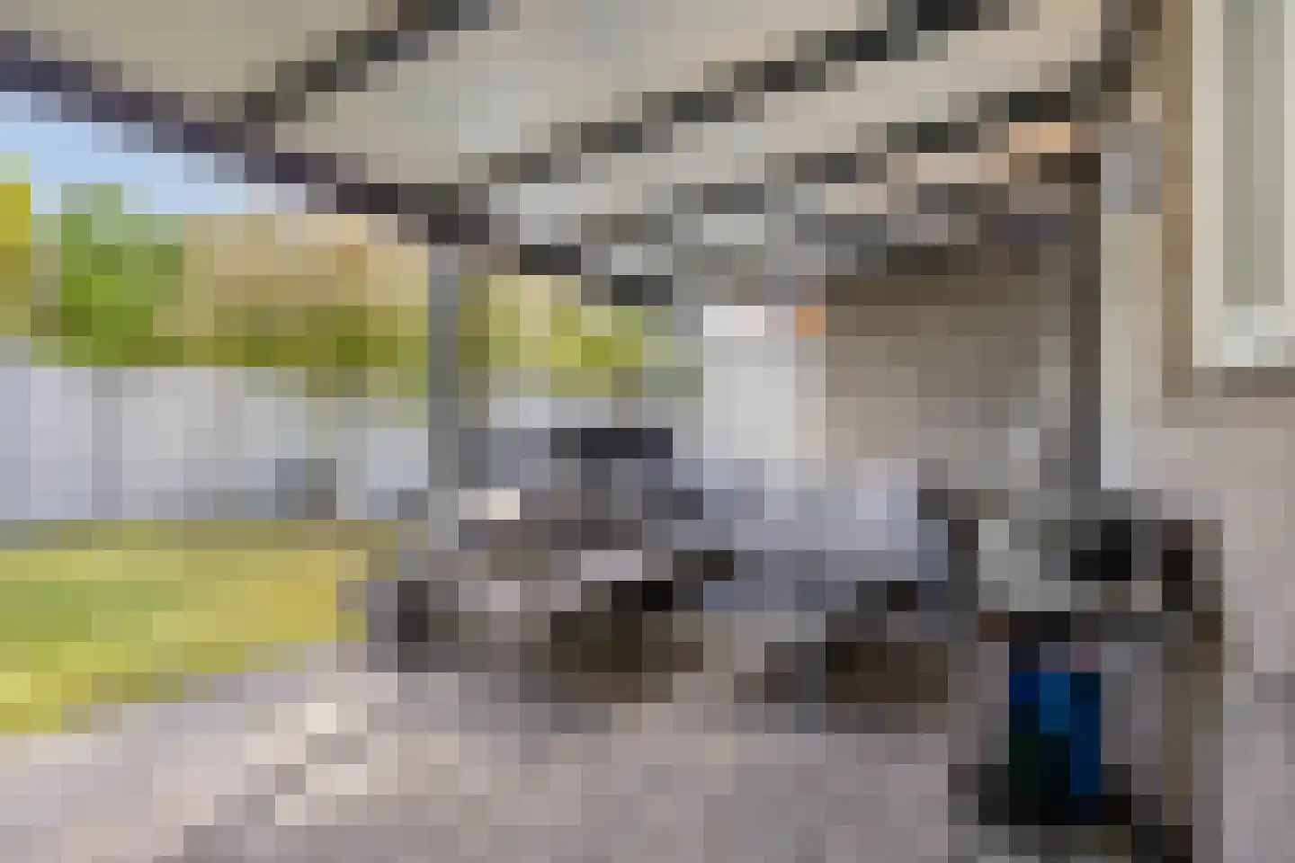 Malaxisbeek 8 Helmond thumbnail 38