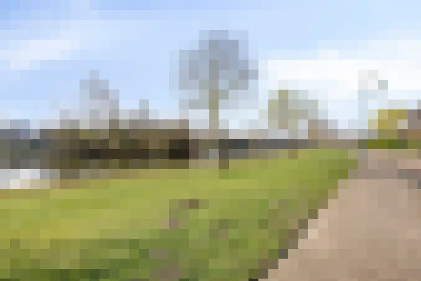 Malaxisbeek 9 Helmond thumbnail 7