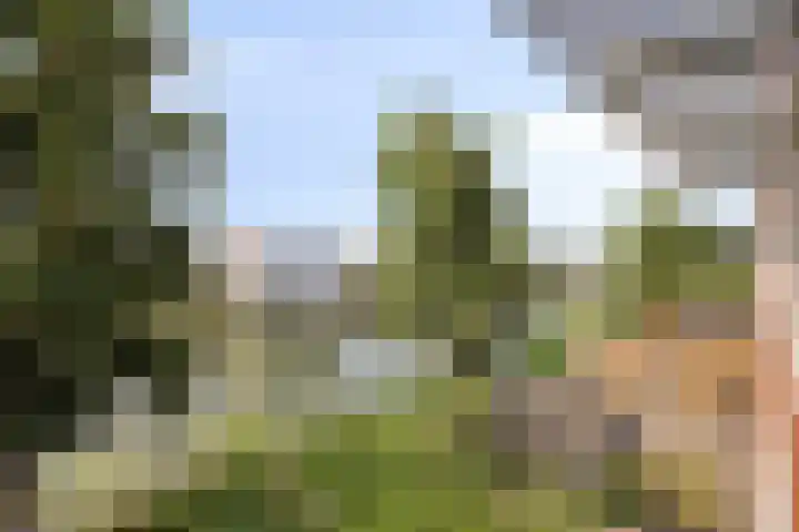 Malberg 27 De Meern thumbnail 26