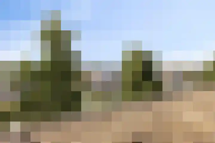Malberg 27 De Meern thumbnail 37