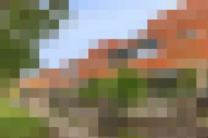 Malberg 27 De Meern thumbnail 41