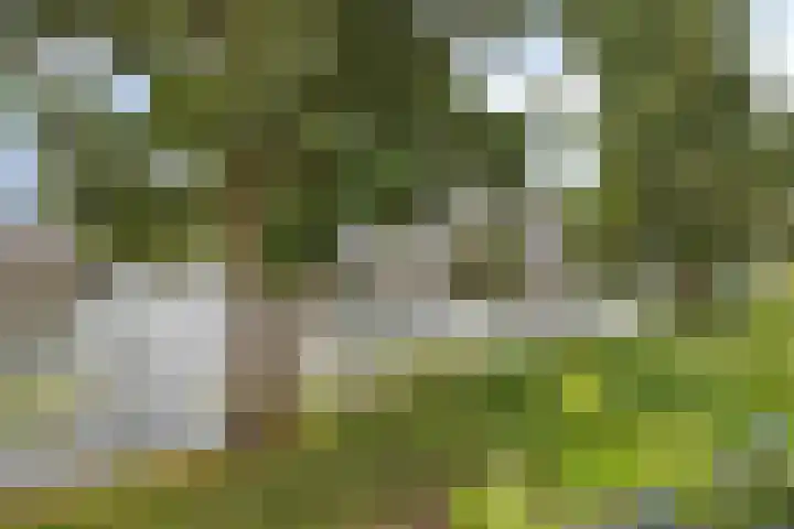 Malberg 27 De Meern thumbnail 5