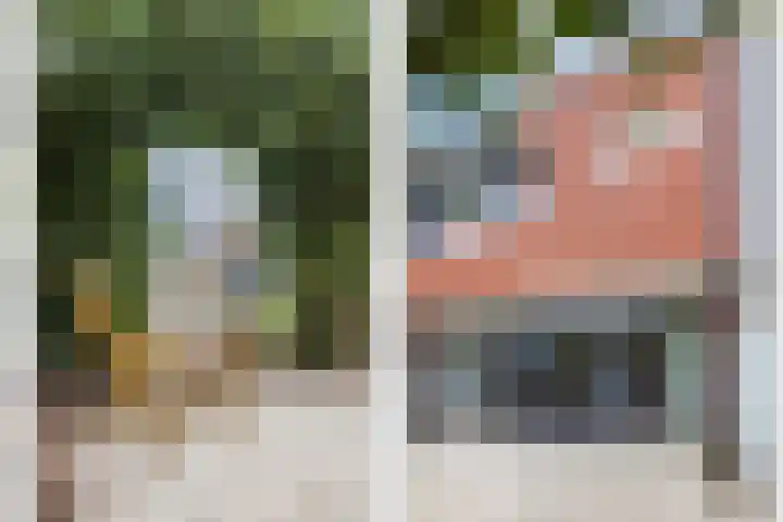Malberg 3 De Meern thumbnail 18