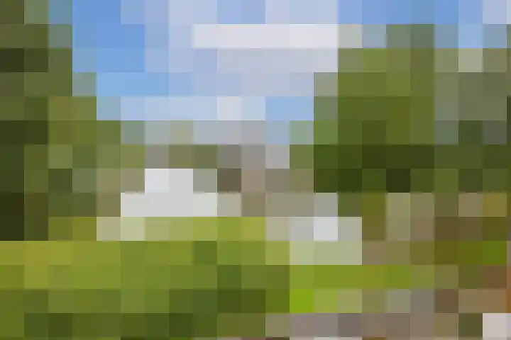 Malberg 3 De Meern thumbnail 31